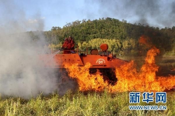 【動畫】森林草原防火“十不準(zhǔn)”“五不燒”！這些安全知識要牢記