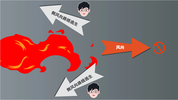 【動畫】森林草原防火“十不準(zhǔn)”“五不燒”！這些安全知識要牢記